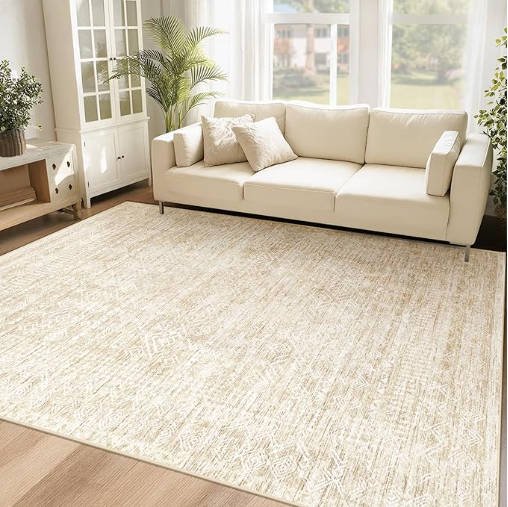 CECGMAT 6x9 Area Rugs for Living Room: Washable Moroccan Geometric Boho Rug Farmhouse Non Slip Stain Resistant Large Rug