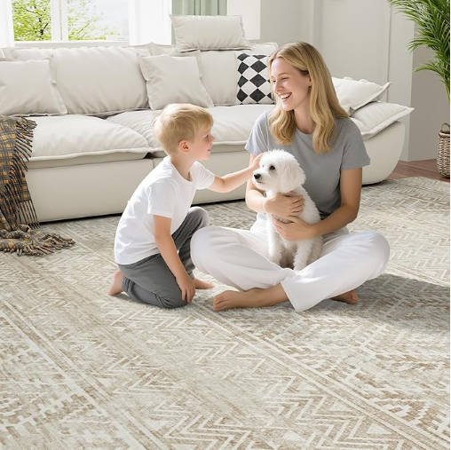 CECGMAT 6x9 Area Rugs Washable Rug: Anti-Skid Abstract Modern Living Room Rug Soft Thin Carpets Indoor Floor - Image 3